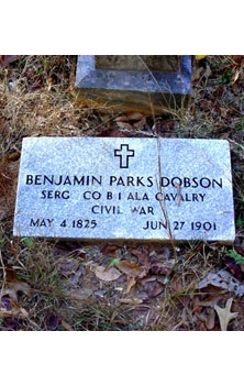 Benjamin P Dobson