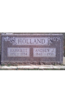 Andrew J Holland