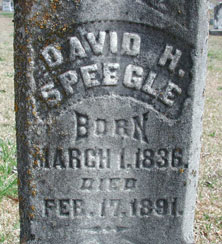 David H Speegle